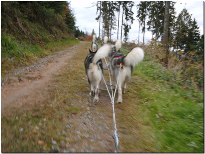 Tour Odenwald 102.jpg